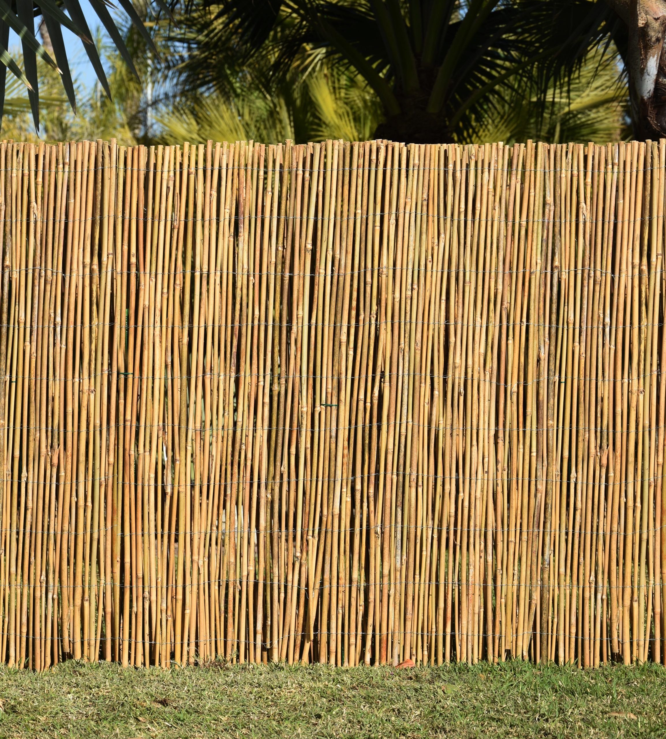 Bambu ocultación Bilbao-País Vasco